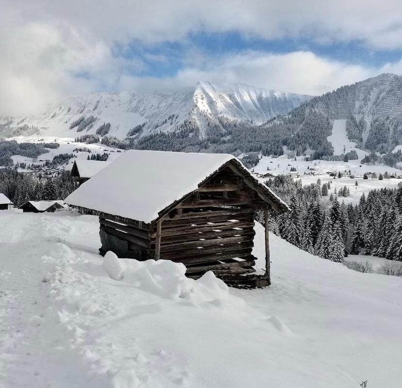 Alpenpension Elferblick * Hirschegg (Vorarlberg)