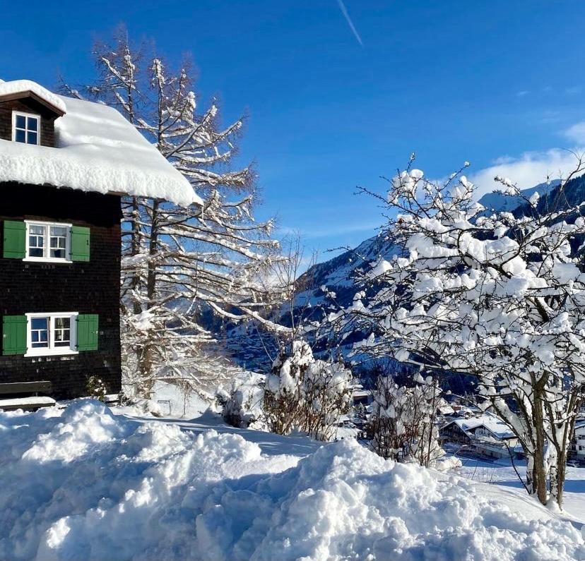 Apartment Alpenpension Elferblick Hirschegg (Vorarlberg)