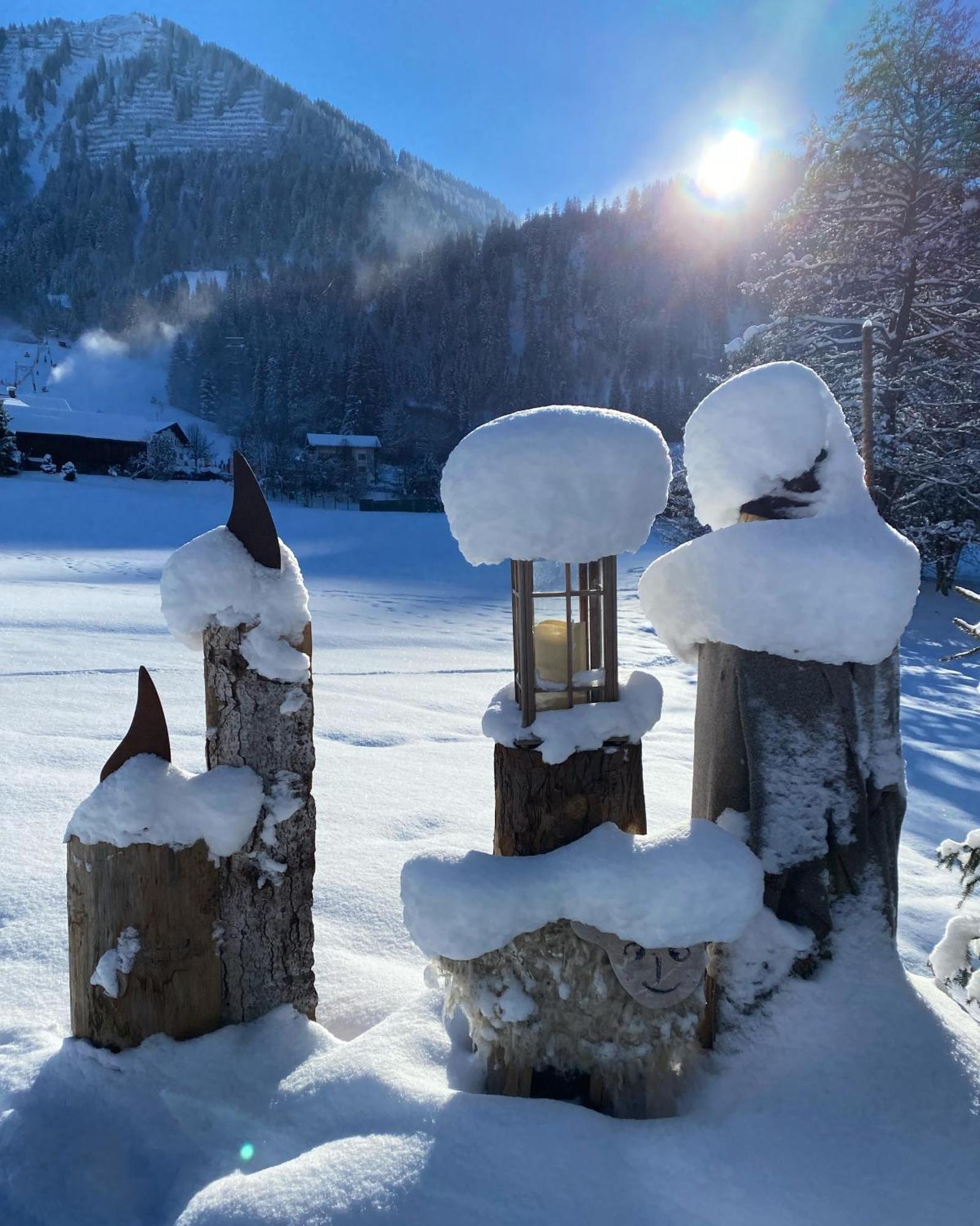 Alpenpension Elferblick Hirschegg (Vorarlberg)