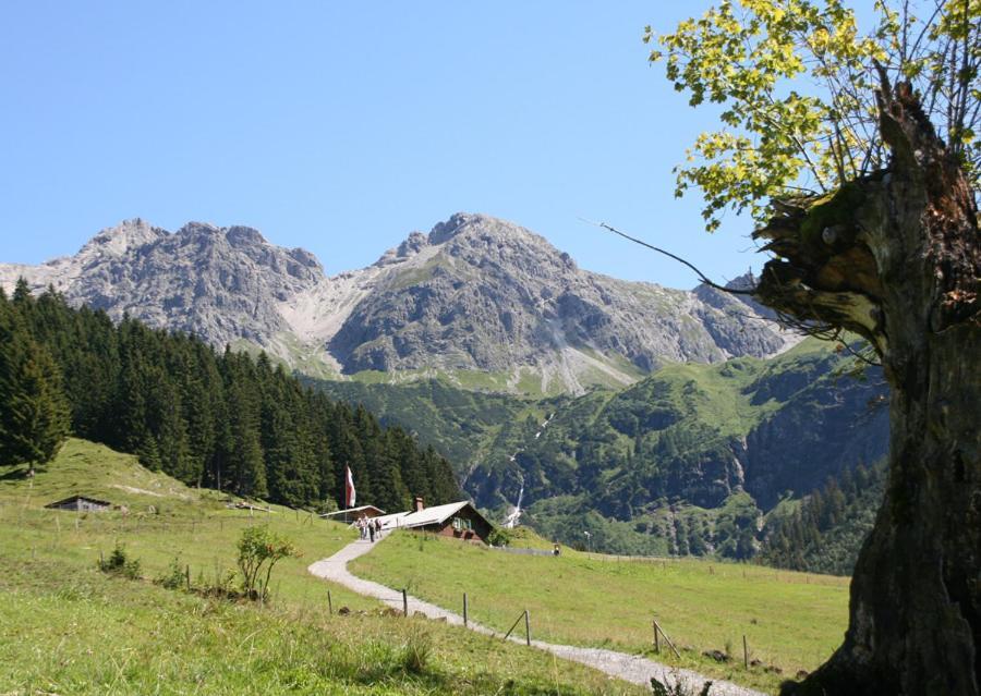 Alpenpension Elferblick Apartment