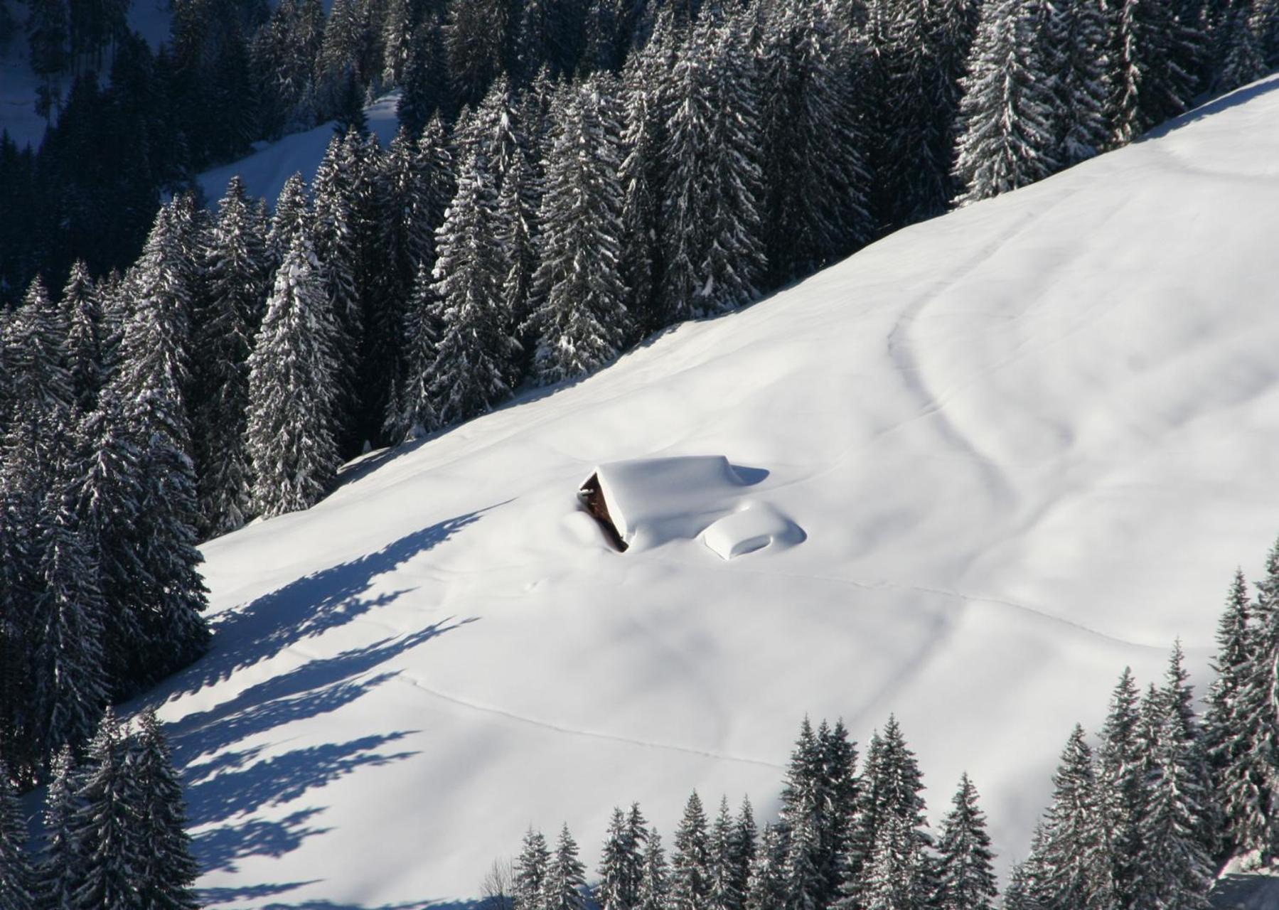 Apartment Alpenpension Elferblick *