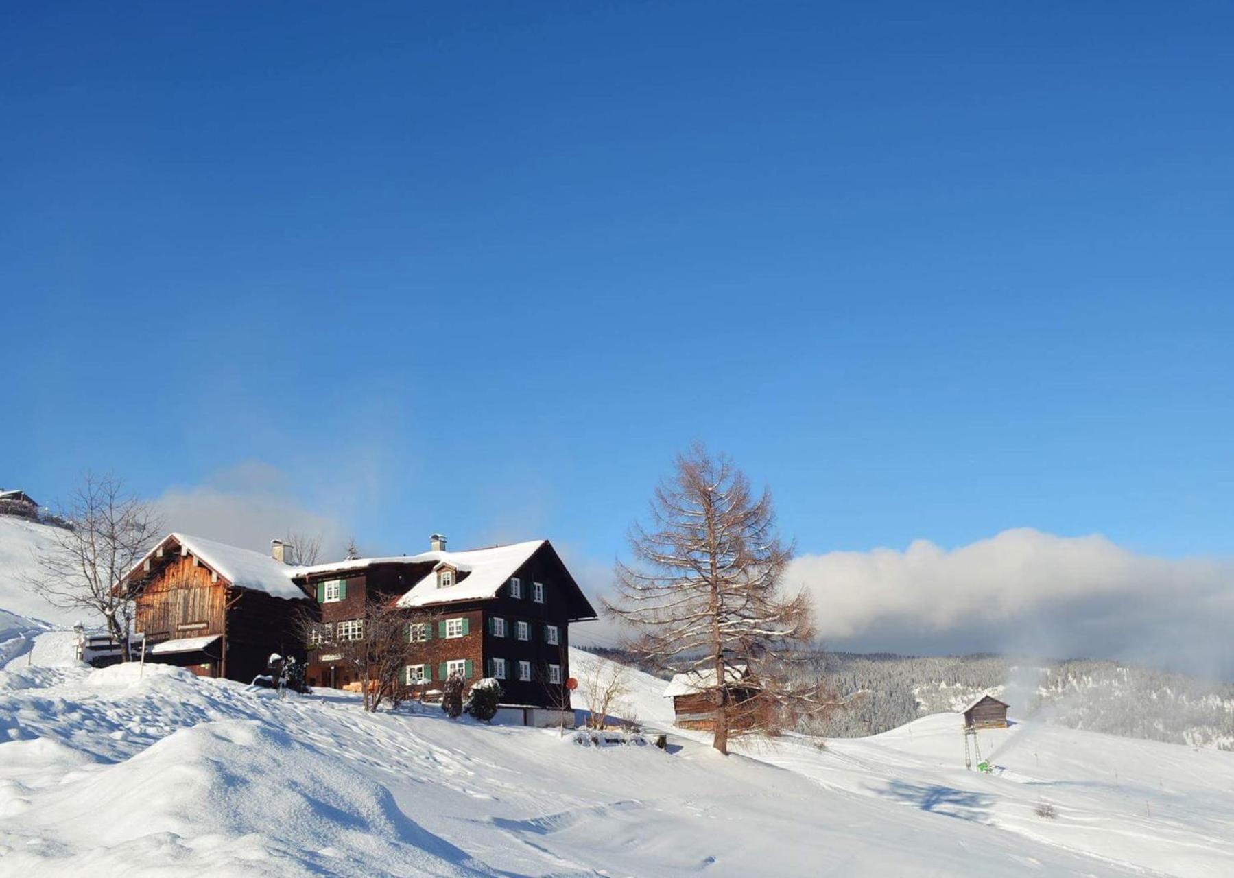 Apartment Alpenpension Elferblick